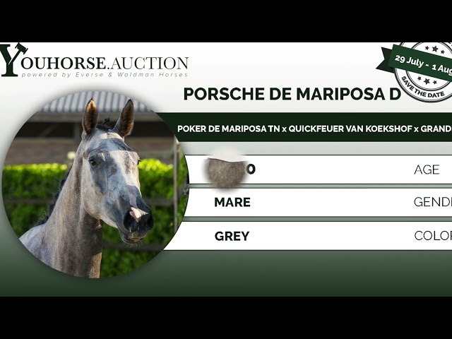Porsche de Mariposa