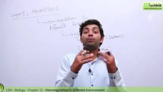 Fsc Biology Book 2 - Osmoregulation in Different Environments-Ch 15 Homeostasis-12th Class Biology