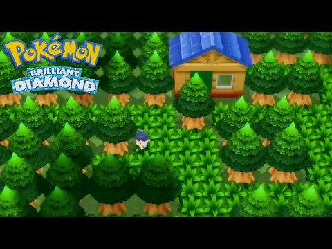 Pokémon Brilliant Diamond & Shining Pearl - Route 219 to 221 Bothering Challenger Appear & Find Item