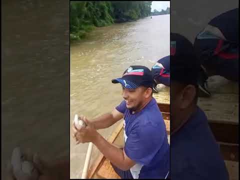 Pescan 🐠 con las manos 👐 en el Catatumbo. 🎬 Tibú Linda