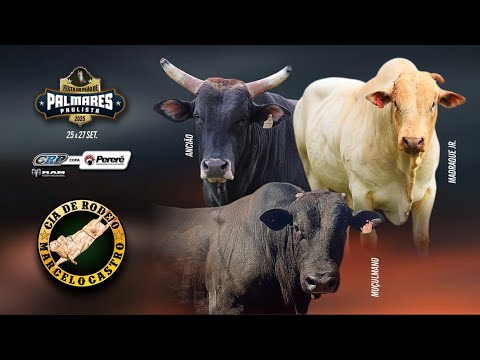 Rodeio de Palmares Paulista 2025 (S0RTEI0 / QUINTA / ROUND 1)