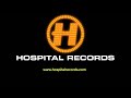 Jessie J Nobody S Perfect Netsky Remix
