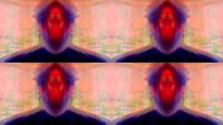 Gallery of Past Lives  Steve Kilbey