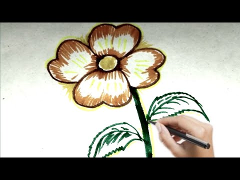 Drawing flowers for kids colours flowers. abcd alphabets writing abcd, @stadycentresumita