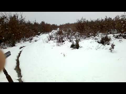 gjuetart e lugbunarit vrasja e lepurit  2012