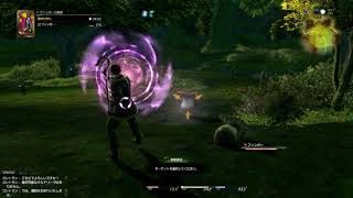 旧FF14　昔の黒衣森は鬱蒼とした深い森だった。ギルドリーブ「ファンガーの除草」