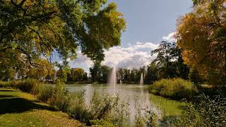 Park Miejskie w Lubartowie