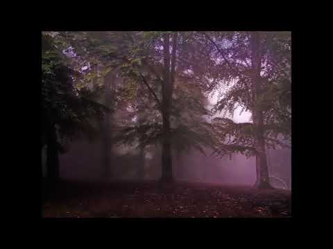 Necroillucion - Chaos Theory