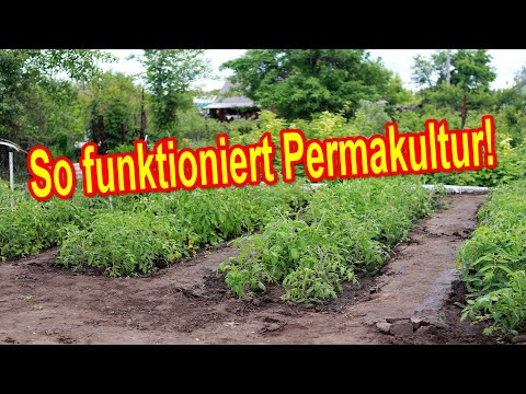 Permakultur Garten anlegen - Was ist Permakultur? Vorteile & Nachteile von Permakultur