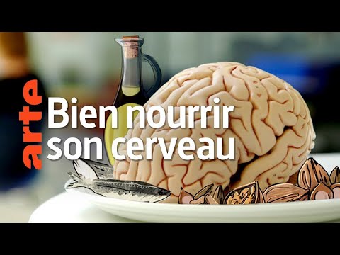 Bien alimenter son cerveau | Santé mentale | Documentaire 2020 ARTE