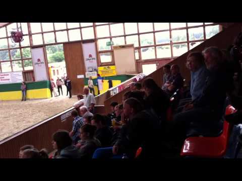 CVI Krumke Sonntag Notenbekanntgabe