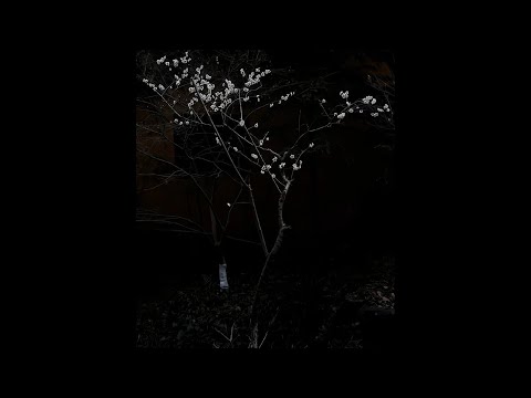 [free] sad shoegaze x superheaven x quannnic type beat - "disorder"