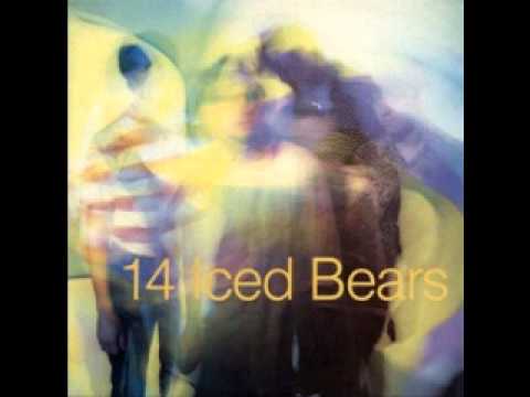 14 Iced Bears   Cut