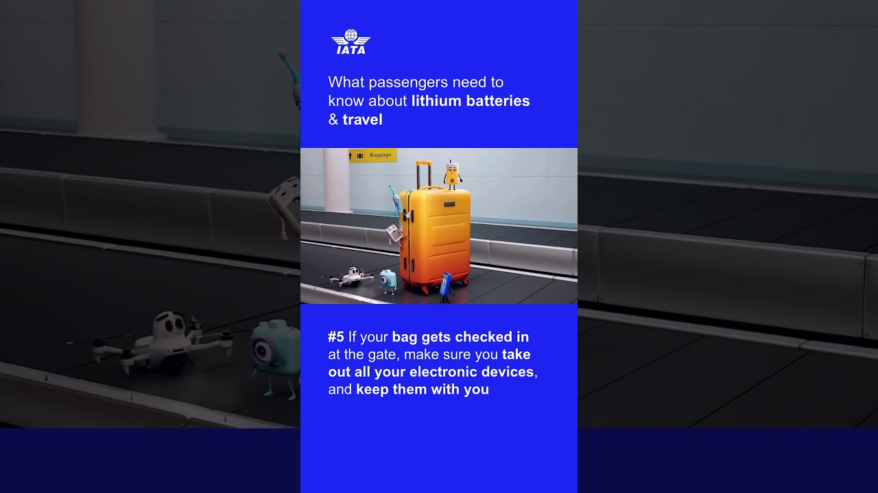 🔋 Travel Smart: Gate Check Reminder