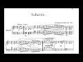 V Rosenberg Ružić Piano Sonata No 2 Op 45