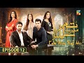 Tum Mere Kya Ho - Episode 12 - 2nd May 2024  [ Adnan Raza Mir & Ameema Saleem ] - HUM TV