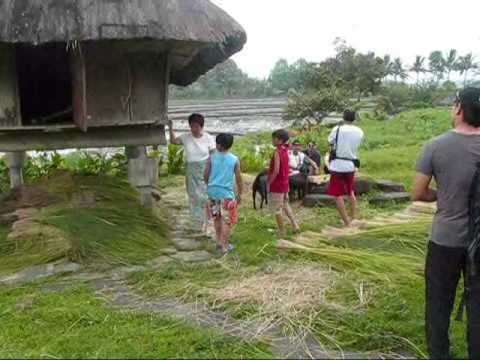 pila boodle fight.wmv