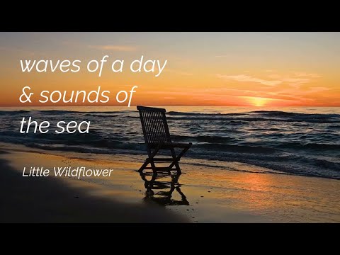 Waves of a Day | Natural Beach Ambience for Relaxation, Sleep & Concentration | Little Wildflower