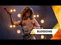Blossoms - I like your look (featuring CMAT) (Glastonbury 2025)
