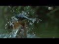 Spot RAI Olimpiadi Londra 2012 Tuffi Trampolino 3m Donne 05 Agosto