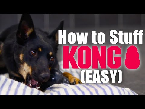 How to Stuff a Kong Toy (Easy)