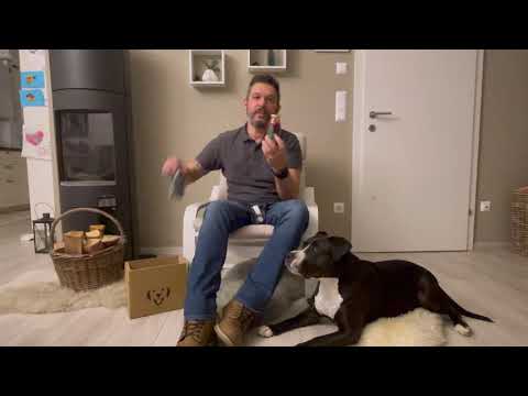 NUR FÜR KURZE ZEIT! DIE Christmas-Starterbox für deinen Hund!