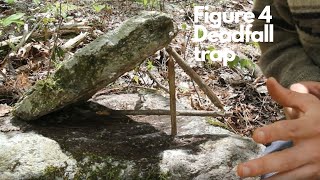 Figure four survival trap and 100 percent wild meal