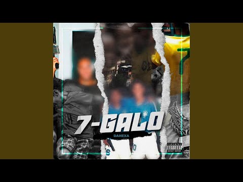 7 Galo