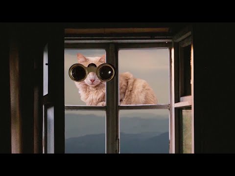 Video thumbnail for Я Видел Сон (I saw a dream)