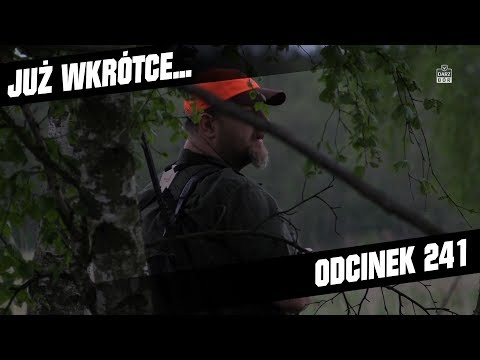 Darz Bór zapowiedź odcinka 241