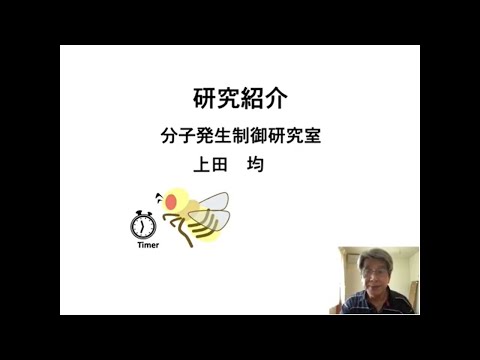 理学部生物学科分子発生制御研究室研究紹介