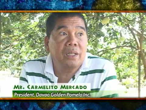 Mawalan ng timbang kung mula simulators Ehersisyo para sa pagbaba ng timbang mga gilid at tiyan