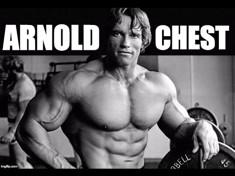 download lagu mp3 mp4 Arnold Chest Workout Full, download lagu Arnold Chest Workout Full gratis, unduh video klip Arnold Chest Workout Full