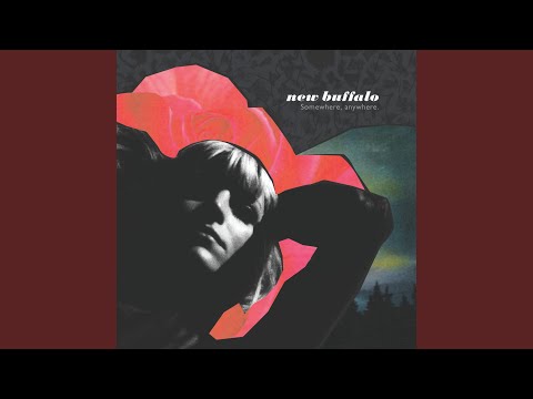 Emotional Champ - New Buffalo
