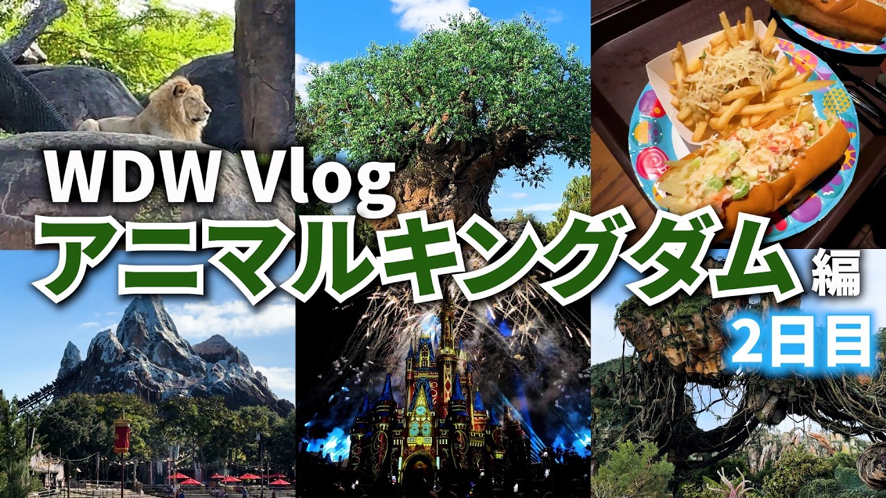 【WDW旅行Vlog（2日目）】効率良く回るには？！本物の動物たちが集まるアニマルキングダム！／夜はマジックキングダムに移動してショーやパレードを良い位置で鑑賞♪