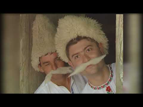 Čarobnjaci - La moara batrna