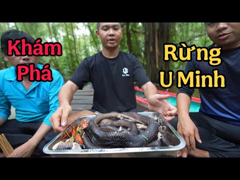 Fishing & Exploring Vietnam's Most Mysterious Forest - U Minh