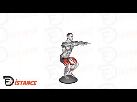 Squat sur BOSU - Exercice Squat sur BOSU en vidéo Squat sur BOSU - Exercice Squat sur BOSU en vidéo