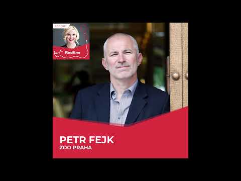 #28. Petr Fejk: Gorily jsou jako lidé, když přijde mládě, vše se změní.