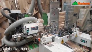 Woodmaster. MÁY LÀM MỘNG 2 Đầu Cnc 4 dao - Máy Phay Mộng Âm Dương Cnc 2 đầu 4 dao