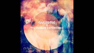 Quixotic and The Human Experience - From the Outside Looking In