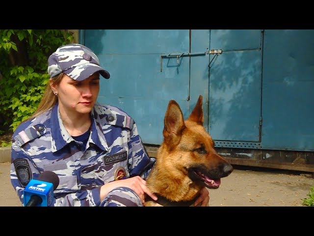 Друг человеку, преступнику враг!