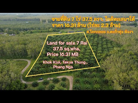 ขายที่ดินทำเลดี ใกล้ทะเลนาใต้ จังหวัดพังงา 7 ไร่ 37.5 ตารางวา ราคาเพียงไร่ละ 2 ล้านบาท ตำบลโคกกลอย อำเภอตะกั่วทุ่ง จังหวัดพังงา - video