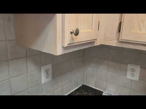 Cockroaches Rule Over the Kitchen in Toms River, NJ