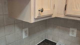 Watch video: Cockroaches Rule Over the Kitchen in Toms River, NJ