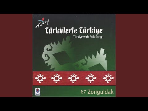 Video Yükleniyor...