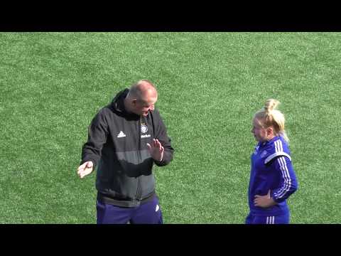 Pallokissat HJK Alkulämp