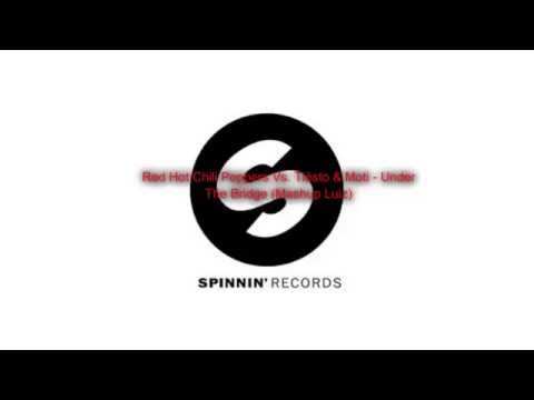 Red Hot Chili Peppers Vs. Tiësto & Moti - Under The Bridge (Mashup Luiz)