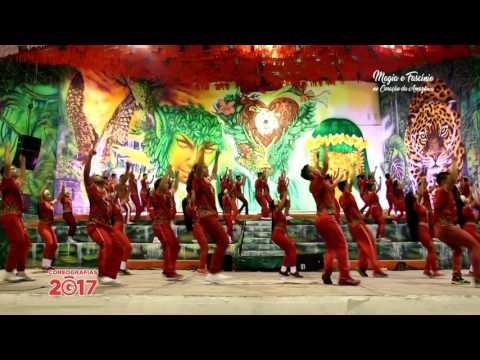 Coreografia BOI GARANTIDO 2017  - Toada:  RITUAL ESCARIFICAÇÃO