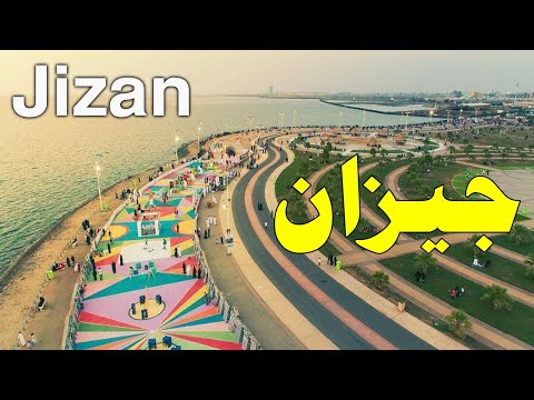 الفيديو